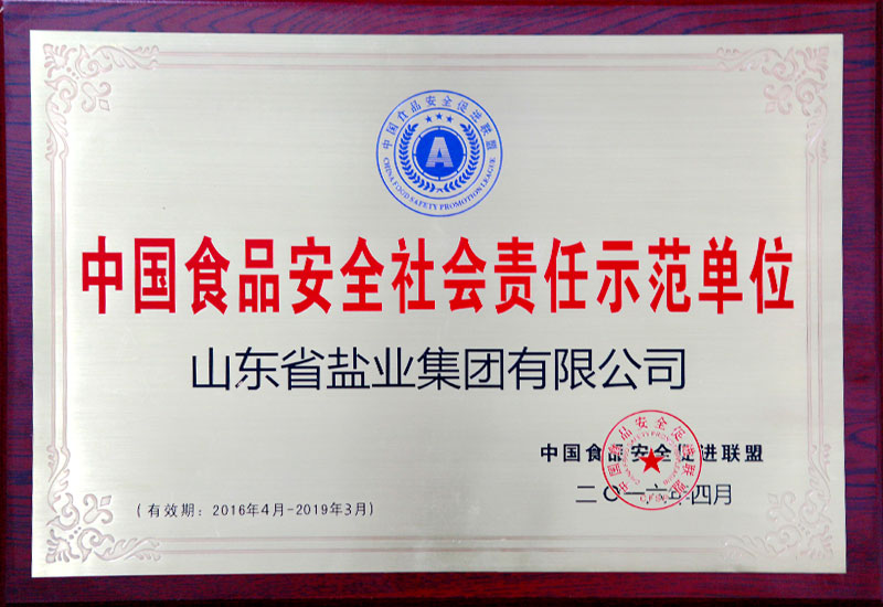 鹽業(yè)集團